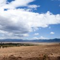 TZA ARU Ngorongoro 2016DEC26 Crater 102 : 2016, 2016 - African Adventures, Africa, Arusha, Crater, Date, December, Eastern, Month, Ngorongoro, Places, Tanzania, Trips, Year